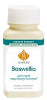Ethically Wildcrafted Boswellia Serrata Suitable for Vegetarians